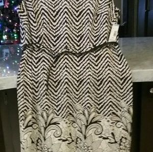 Covington womens  dress size 16w